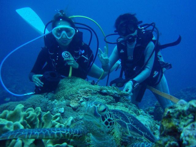 運がよければウミガメと一緒に撮影できるかも!_キングフィッシャー沖縄