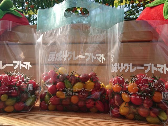 真ん中の袋が1s
両端の袋が500g
イメージになります。_いんどう・ウォーター・ファーム