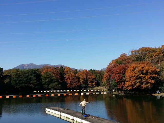 大安トラウトレイク