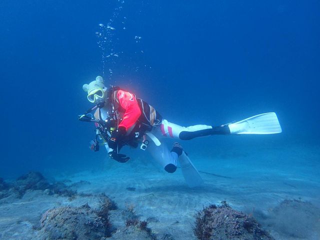 ラ・ボンバスタッフは、水中でも認識しやすい白いスーツです。_ラ・ボンバ神奈川