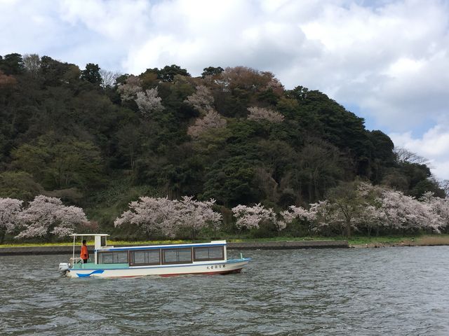 湖山池語り部遊覧船