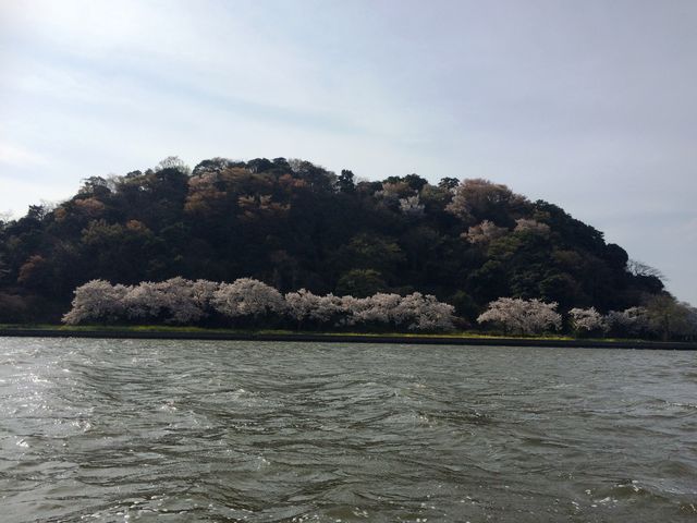 湖山池語り部遊覧船
