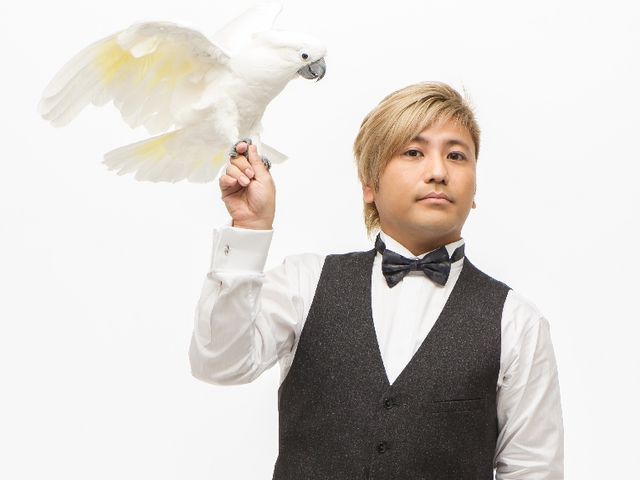 MAGIC TOKYO O
