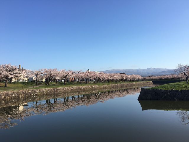 五稜郭公園_中村観光タクシー