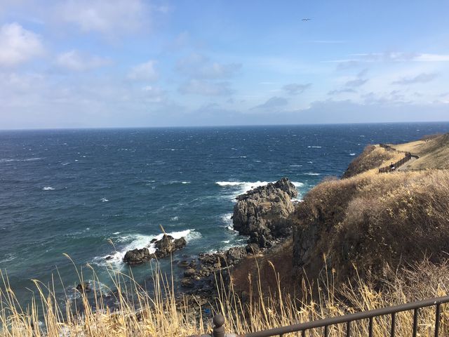 立待岬_中村観光タクシー