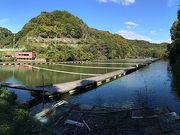 釣堀センター菊水の写真3