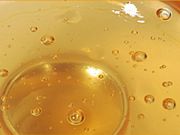 釣堀センター菊水の写真4