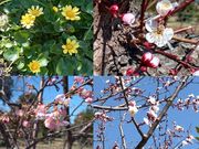 海老名自然工房の写真2