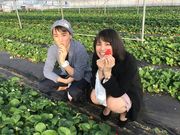 広川いちご園の写真2