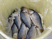 竜王ふなずし工房の写真2