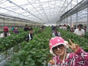 ベリーズ司園の写真2