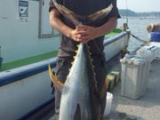 釣船 福栄丸の写真3
