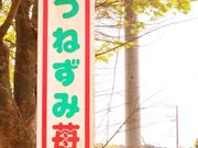 つねずみ苺園の写真2