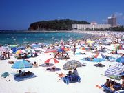 (一社)南紀白浜観光協会の写真2