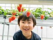 ひさだ苺農園の写真3
