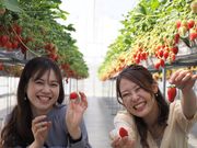 ひさだ苺農園の写真4