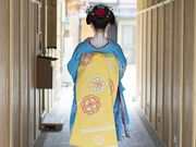 舞妓シアターの写真2