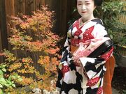 舞妓シアターの写真4