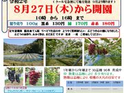 真楽園の写真2