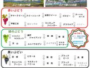 真楽園の写真3