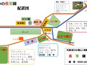 真楽園の写真4