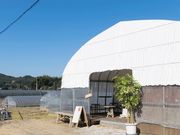 糸島 磯本農園の写真4