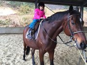 JB北広島乗馬クラブの写真2
