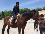 JB北広島乗馬クラブの写真3