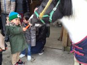 JB北広島乗馬クラブの写真4