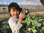 山末農園の写真4