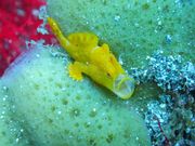 マリンプラザ Y'sDreamの写真3