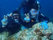 マリンプラザ Y'sDreamの写真2