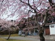 ふるさと工房の写真4