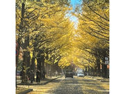 真山タクシーの写真4