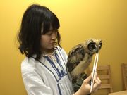 ふくろう+は虫類とふれあえるカフェ カントリーオウルぷらすの写真4