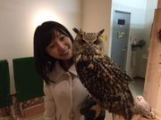 ふくろう+は虫類とふれあえるカフェ カントリーオウルぷらすの写真3