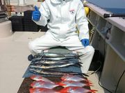 つり船 ちがさき丸の写真3