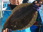 つり船 ちがさき丸の写真2