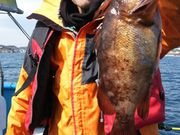 つり船 ちがさき丸の写真4