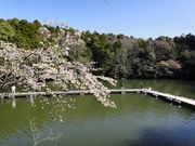 フィッシング サンクチュアリの写真2