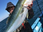 みやけ丸の写真3