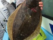 みやけ丸の写真4