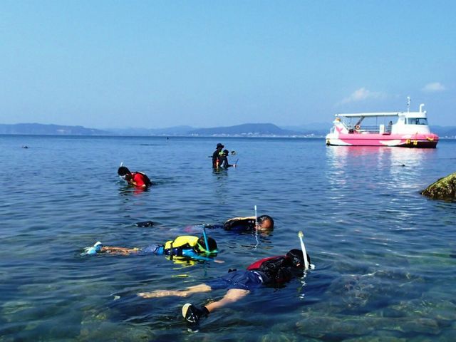 カヤック半日体験では、夏はシュノーケリングも楽しめます!!_パドルスポーツ・ルー