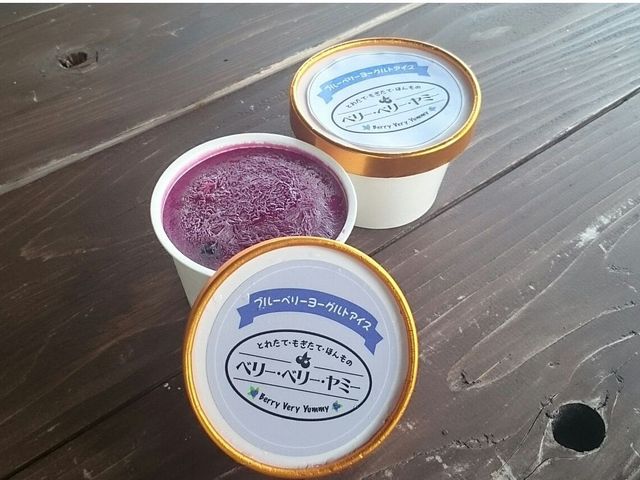 ヨーグルトの酸味とブルーベリーの甘さがさわやかなアイスです。ブルーベリーの果肉も入って、贅沢にブルーベリーを味わえます。_とれたて・もぎたて・ほんもの ベリーベリーヤミー
