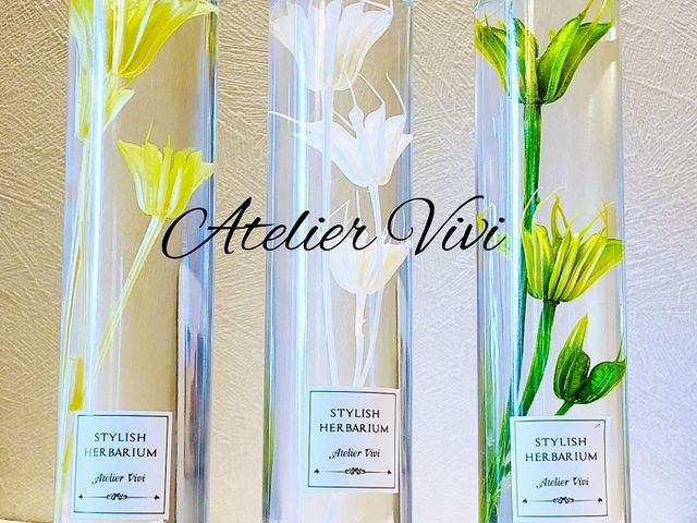 Atelier Vivi