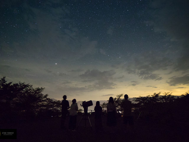 みんなで夜空を見上げよう!_Star Forest