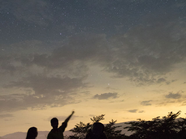 自分の誕生月の星座を探してみよう!_Star Forest