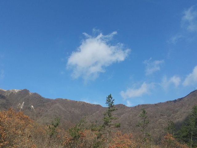 一般社団法人 島根おおだ健康ビューロー