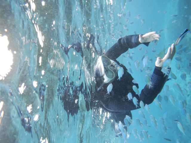 Reeftour HONEY