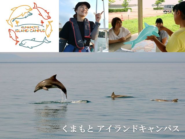 レクチャー付のイルカツアー_くまもと アイランドキャンパス